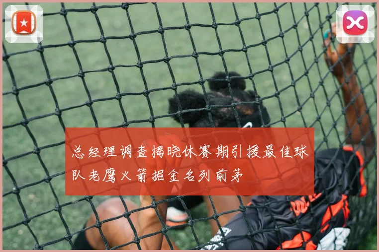 总经理调查揭晓休赛期引援最佳球队老鹰火箭掘金名列前茅