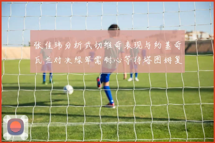 张佳玮分析武切维奇表现与约基奇瓦兰对决绿军需耐心等待塔图姆复出