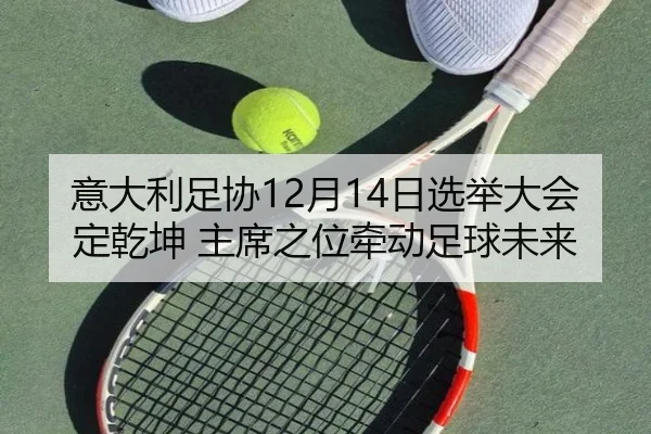意大利足协12月14日选举大会定乾坤 主席之位牵动足球未来