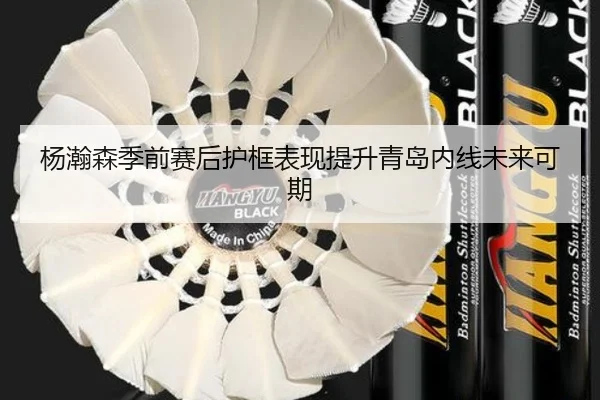 杨瀚森季前赛后护框表现提升青岛内线未来可期 | SabaSports